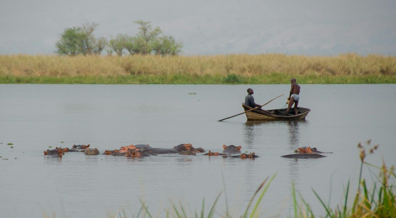 5-Day Murchison Falls Safari