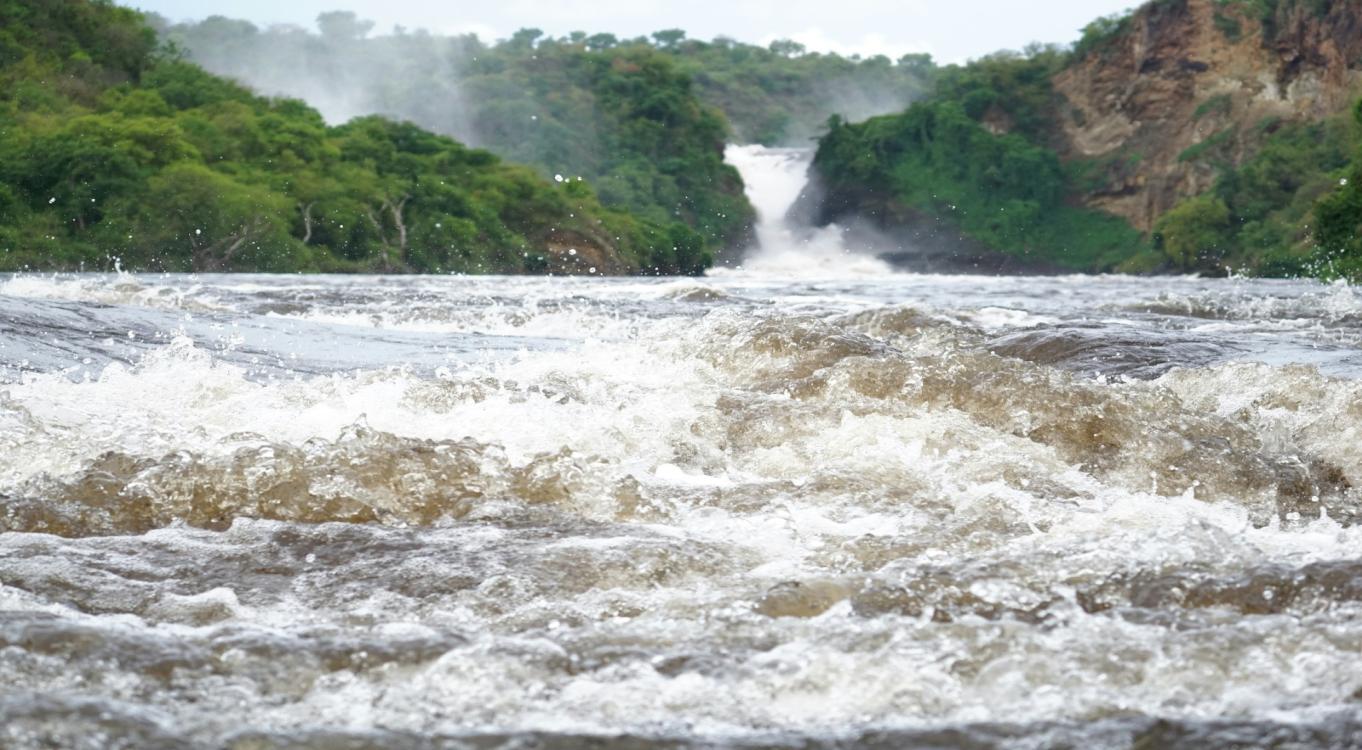 7-Day Northern Uganda Wildlife Safari